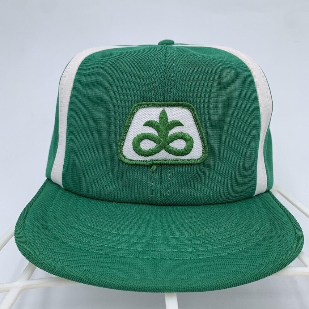 Vintage PIONEER Northern Cap Sz L/XL Seed Snapback Hat‎ Green White